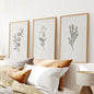 Vintage Home Decor. Botanical Wall Art Set by Sydney Parkinson
